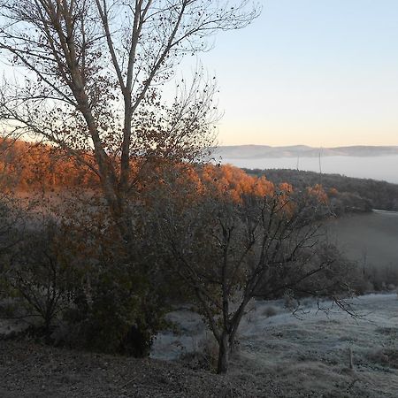 Gite Des Monts Saint-Izaire Екстер'єр фото