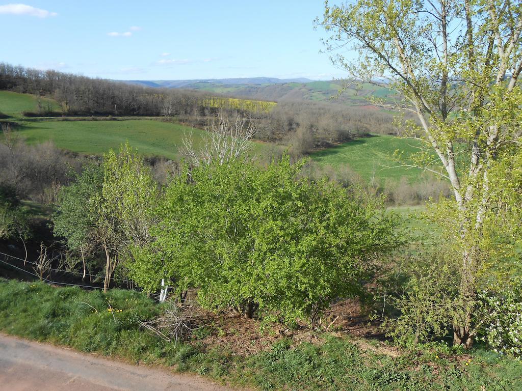 Gite Des Monts Saint-Izaire Екстер'єр фото