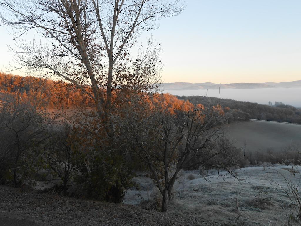 Gite Des Monts Saint-Izaire Екстер'єр фото