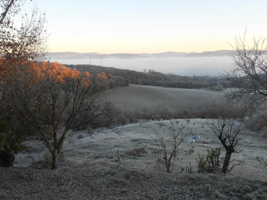Gite Des Monts Saint-Izaire Екстер'єр фото
