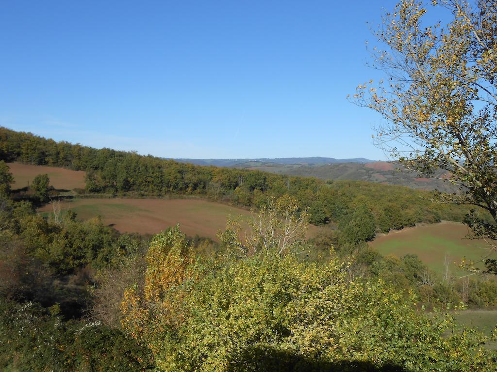 Gite Des Monts Saint-Izaire Екстер'єр фото