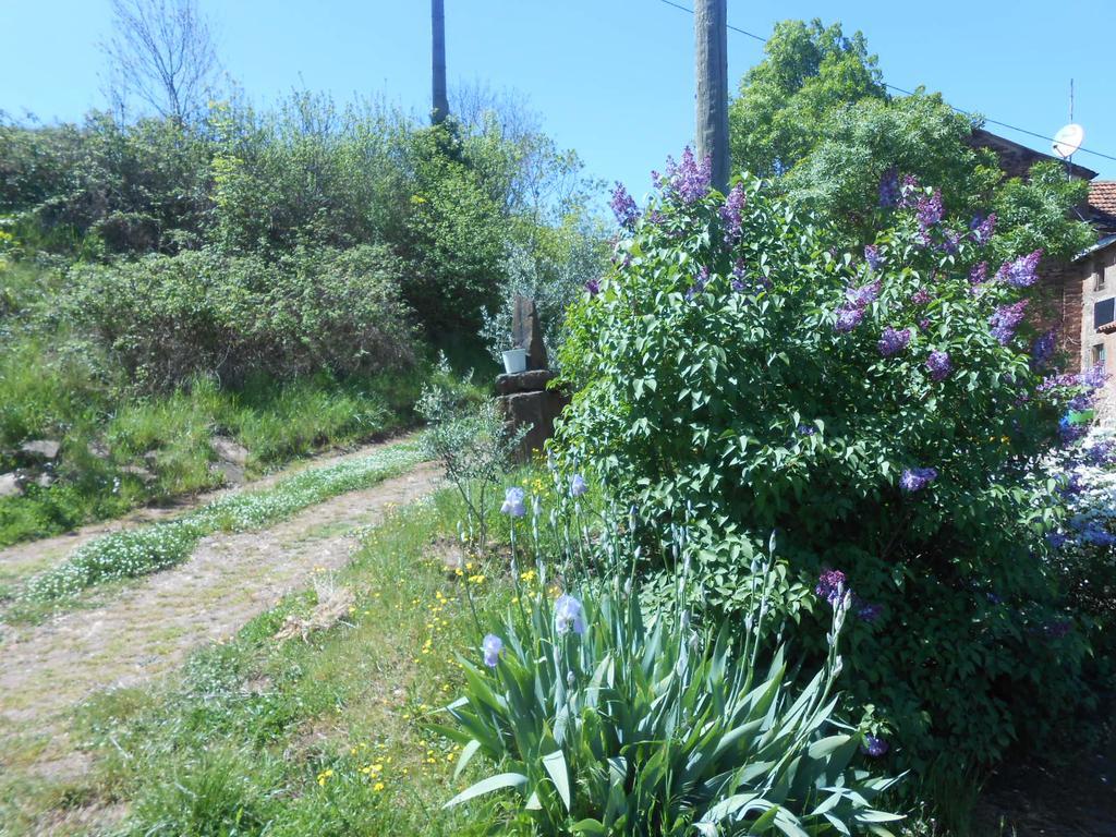 Gite Des Monts Saint-Izaire Екстер'єр фото