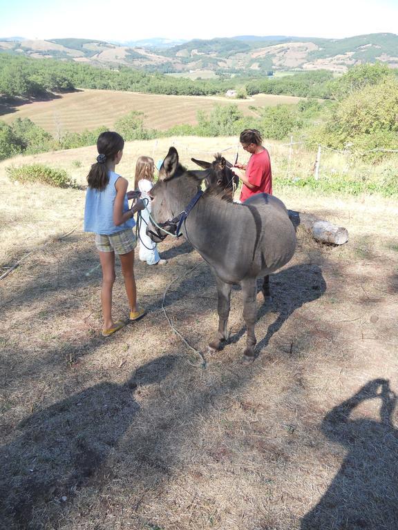 Gite Des Monts Saint-Izaire Екстер'єр фото