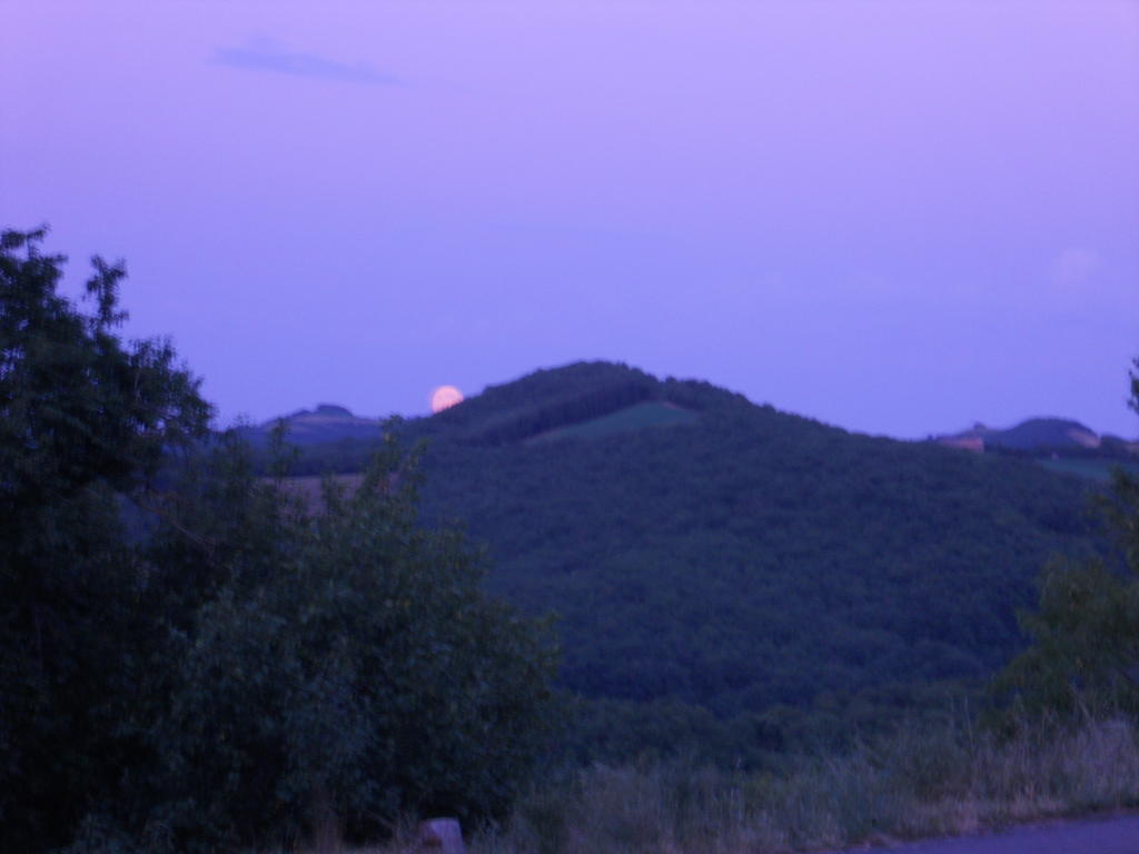 Gite Des Monts Saint-Izaire Екстер'єр фото