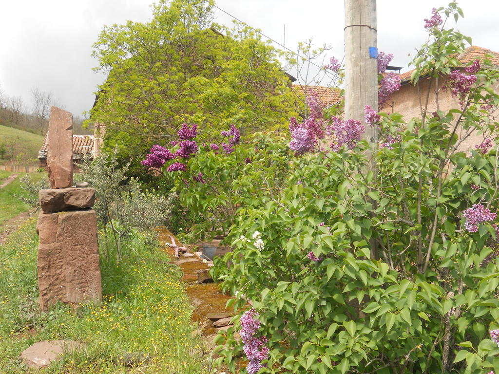 Gite Des Monts Saint-Izaire Екстер'єр фото