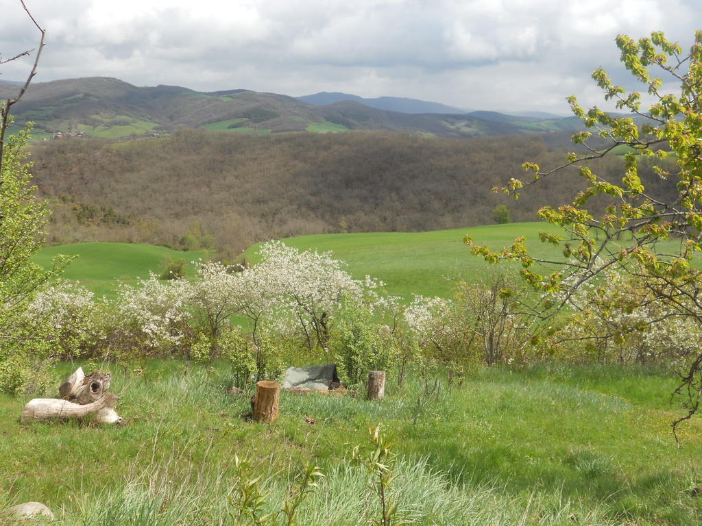 Gite Des Monts Saint-Izaire Екстер'єр фото